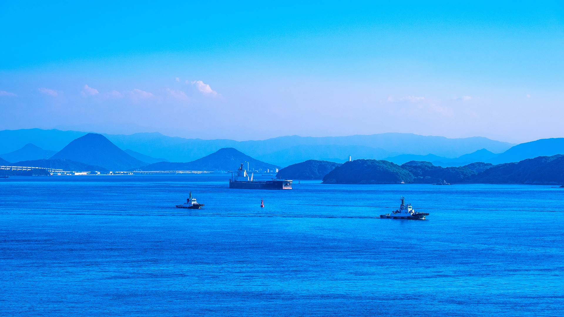 貨物船がいくつも見える海の風景
